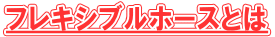 tLVuz[XƂ 