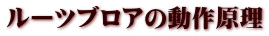 ルーツブロアの動作原理